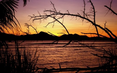 Sunlights Through the Trees - nature, lake, trees, mountains, sunset, palm, sunlights