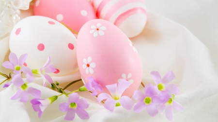 Easter Eggs - eggs, Easter, holiday, pink