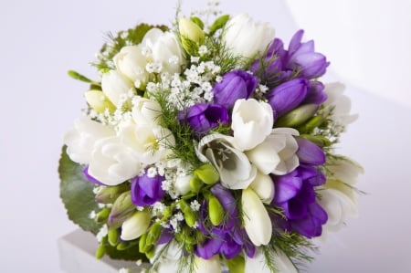 Bouquet of freesias - white, purple, green, spring, freesia, flower, bouquet