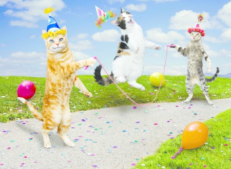 Jumpcats - hat, john lund, balloon, fantays, birthday, party, cat, fantasy, pisica, animal, green, jumpcats