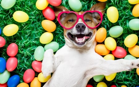 Happy Easter! - funny, animal, caine, spring, glassses, grass, easter, card, jack russell terrier, heart, smile, colorful, dog, green