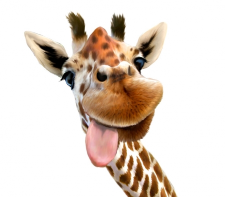 Selfie - animal, funny, giraffe, selfie, tongue