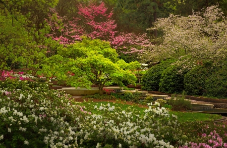 Spring park - trees, park, greenery, spring, walk, beautiful, alleys, grass, garden, wildflowers