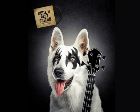 Rock's best friend - funny, animal, black, guitar, instrument, caine, white, creative, tiago hoisel, fantasy, dog