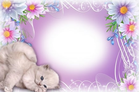 Have a sweet day! - flower, pink, sweet, cat, pisica, white, animal, kitten, cute, card