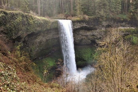 Silver Falls State Park - fun, water, hike, silver falls, Silverton, beauty, state park, Oregon, nature, waterfall, silver