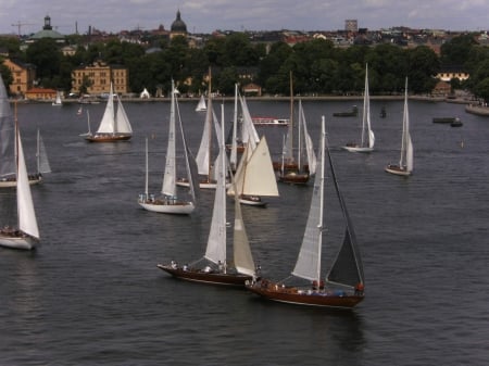 Sailboats in Stockholm - Sweden, Summer, Water, stockholm