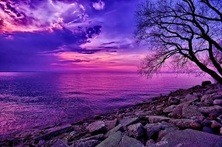 Purple River - nature, sky, tree, river