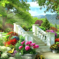 Majesty of Garden