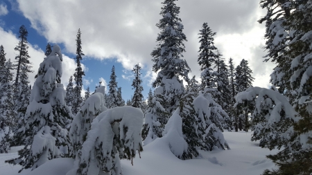 Deep Snow - winter, snow-shoeing, lake alpine, snow