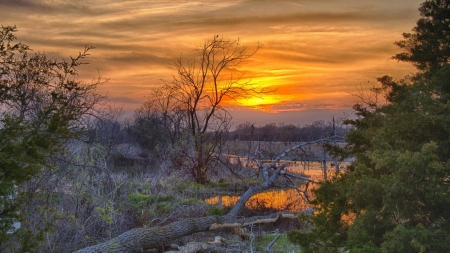 Spring Sunset - clouds, trees, sunset, nature, herbs, forest