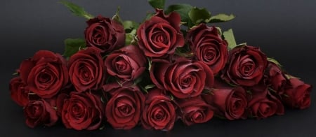 Roses - flowers, bouquet, closeup, roses