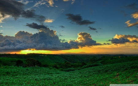 Spring Meadow - nature, landscape, clouds, meadow, sunset, spring