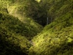 Mountain falls,Hawaii