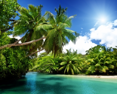 Tropical Sea - nature, sky, trees, clouds, summer, sea, palm