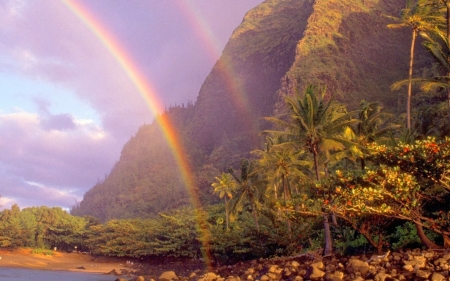 Rainbow Lake - nature, rainbow, lake, trees, forest, mountains