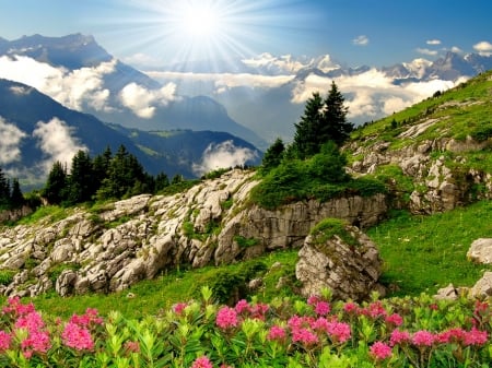 Mountain paradise - greenery, hills, slope, grass, freshness, mountain, flowers, rays, paradise, sun, sky, rocks