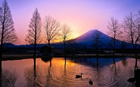 Sunset Over The Mountain,Hawaiian - trees, sunset, nature, swan, lake, reflection, mountain