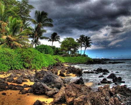 Cloudy Beach - storm, clouds, trees, nature, coast, beach, stones, palm