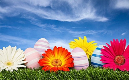 Happy Easter - eggs, easter, sky, flowers