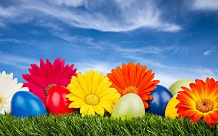 Easter Eggs - easter, flowers, sky, eggs