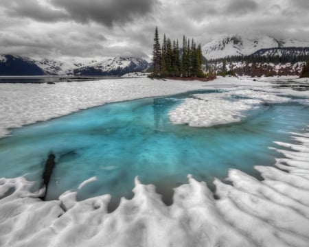 Snowy Lake - trees, winter, nature, snow, lake, spring, mountains, thawing