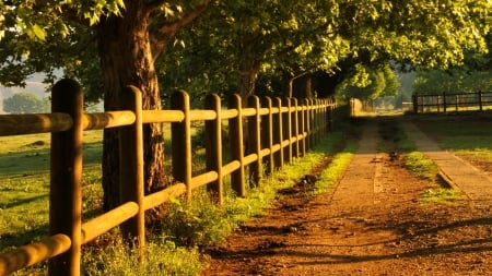 Country Road - fence, leaves, trees, sunshine, grass