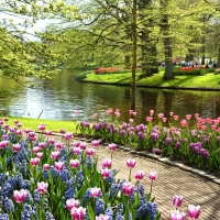 Keukenhof Gardens, Netherlands