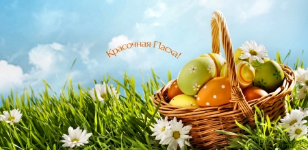 Beautiful Easter C - eggs, Sunday, occasion, beautiful, photography, grass, April, photo, Easter, wide screen, flowers, basket, holiday, colored eggs