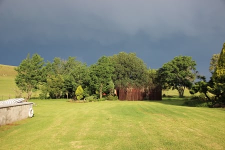 Before the Rain - green grass, dark skies, amazing light, smell