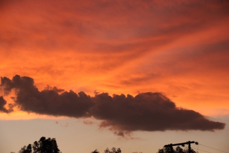 Vrede - nature, orange skies, beauty, sunset