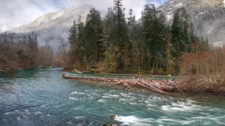 raging river - river, fog, mountain, tree