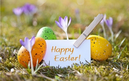 Happy Easter - eggs, flowers, words, Easter