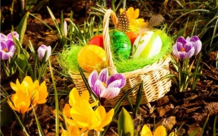 Easter Eggs - eggs, flowers, basket, Easter