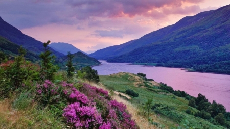 Riverside Bloom - flowers, clouds, nature, spring, mountain, riverside