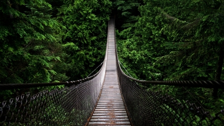 Walking Bridge - nature, bridge, structure, forest