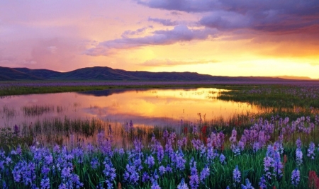 â™¥ - sky, purple, fields, nature