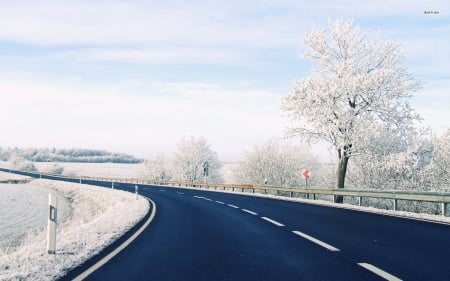 winter road - snow, road, winter, tree