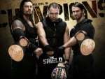 the shield