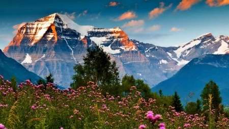 Summer in the Foot of the Mountain - summer, forest, landscape, flowers, clouds, trees, nature, mountain, snow