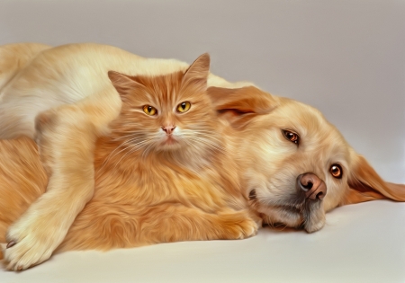 Friends - ginger, digital art, dog, orange, cat, pisica, animal, paw, caine, couple