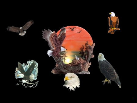 Eagles - abstract, collage, 3d, eye candy