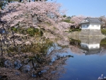 Odawara Castle