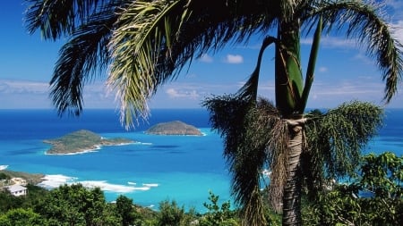 Palms Islands - islands, clouds, trees, nature, sea, ocean, palm