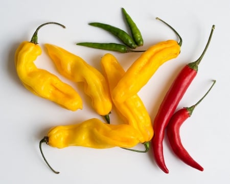 yellow peppers - peppers, chili, yellow, red