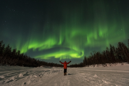 Hellooooo Aurora - nature, green, aurora, man