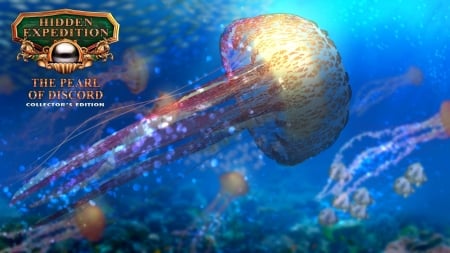 Hidden Expedition 14 - The Pearl of Discord04 - hidden object, cool, video games, fun, puzzle