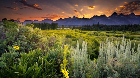 Beautiful Landscape - nature, sky, landscape, clouds, meadows, mountains