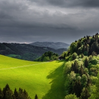 Green Field with Dark Clouds