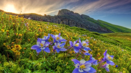 Mountain Meadows - nature, mountain, clouds, flowers, meadows, spring